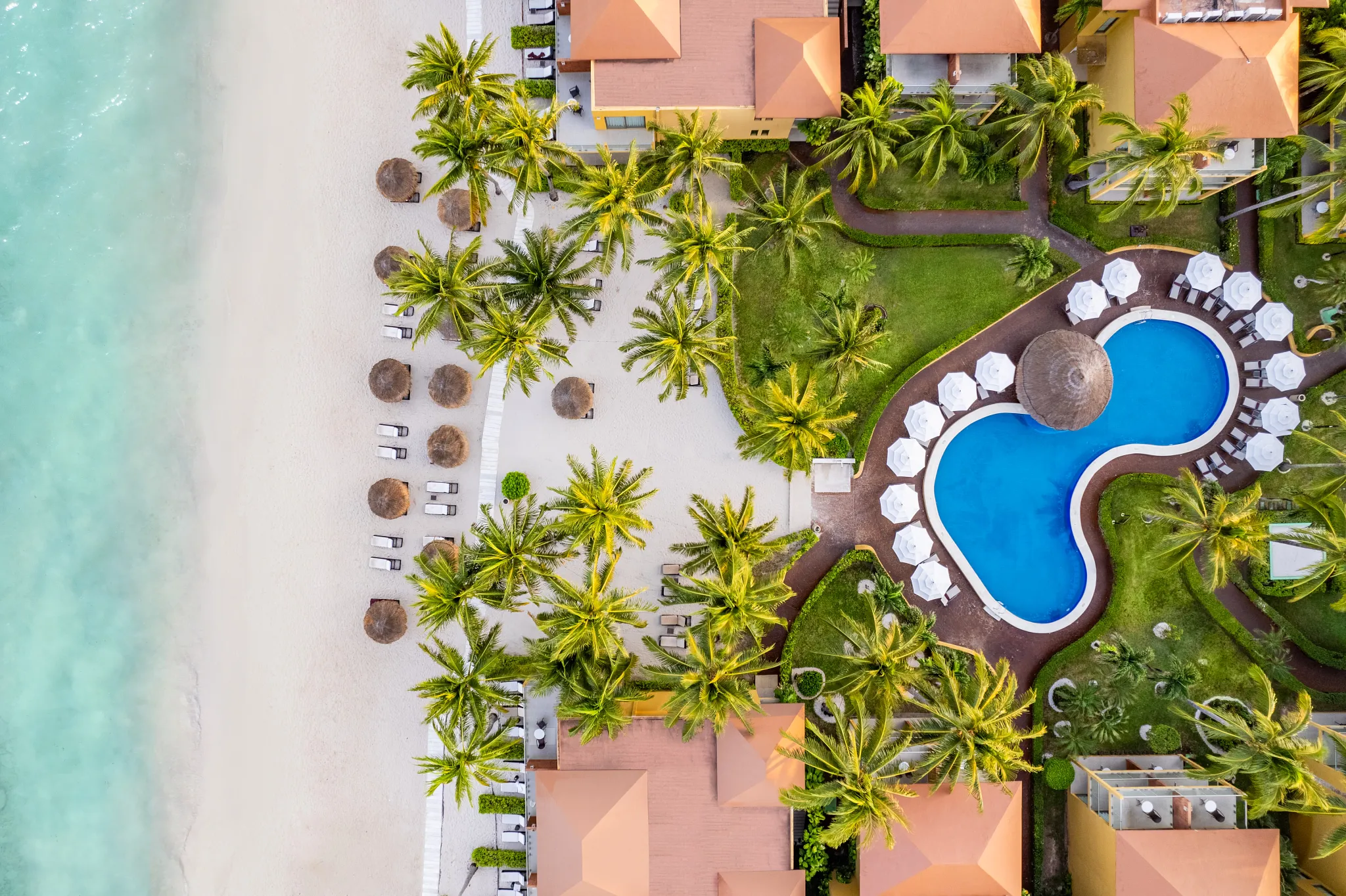 Aerial view of Secrets Aura Cozumel showing beachfront, palm trees, lounge chairs, and curved pool design along the Caribbean Sea.