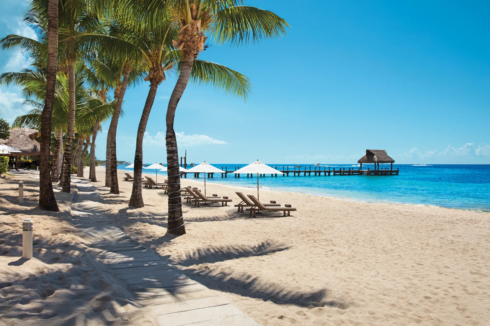 Palm-lined beach at Secrets Aura Cozumel with lounge chairs, umbrellas, and wooden pier over clear Caribbean water.