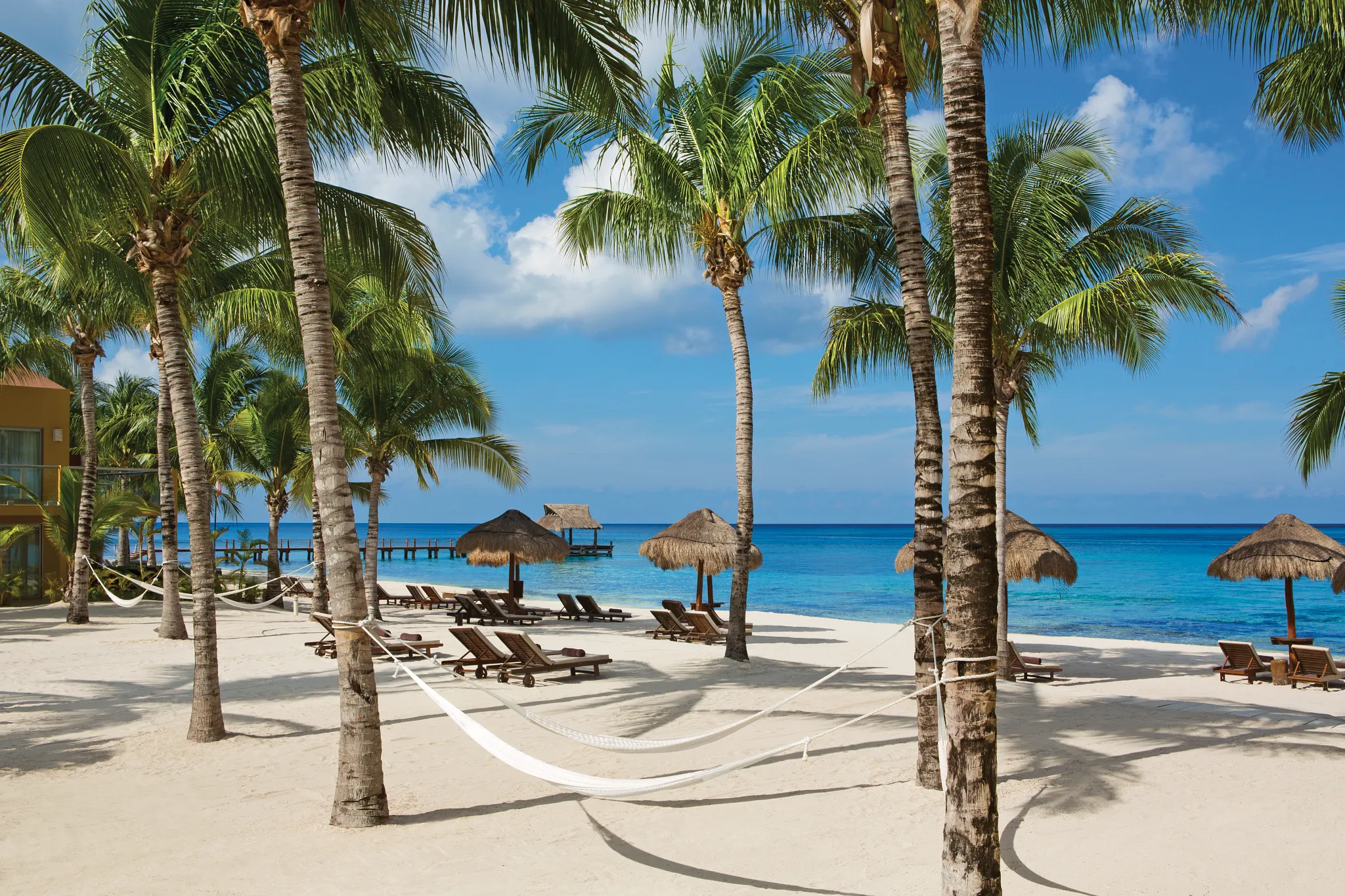 Palm-lined Preferred Club beach at Secrets Aura Cozumel with loungers and hammocks.