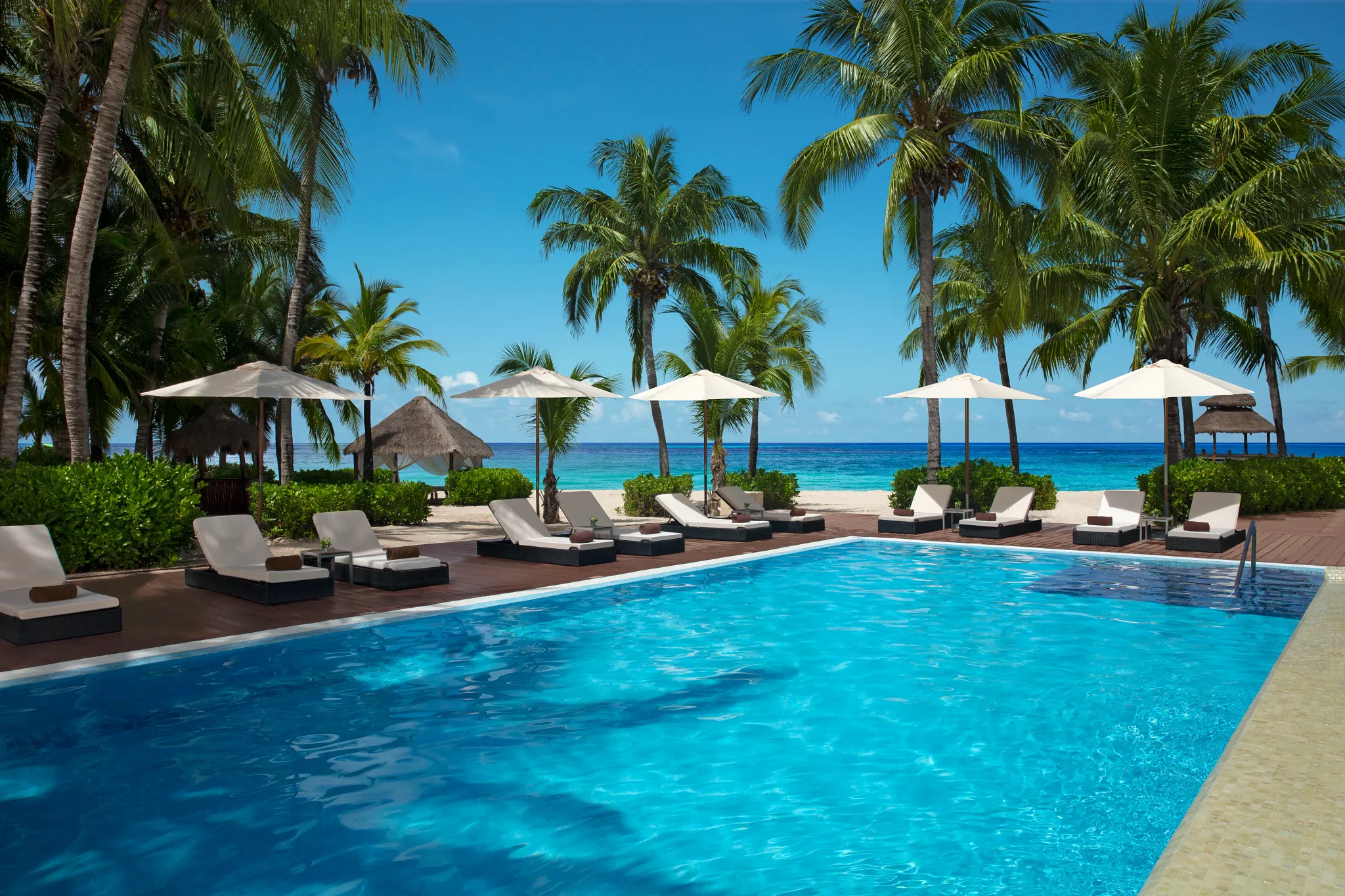 Resort pool with lounge chairs and palm trees overlooking beach at Secrets Aura Cozumel.